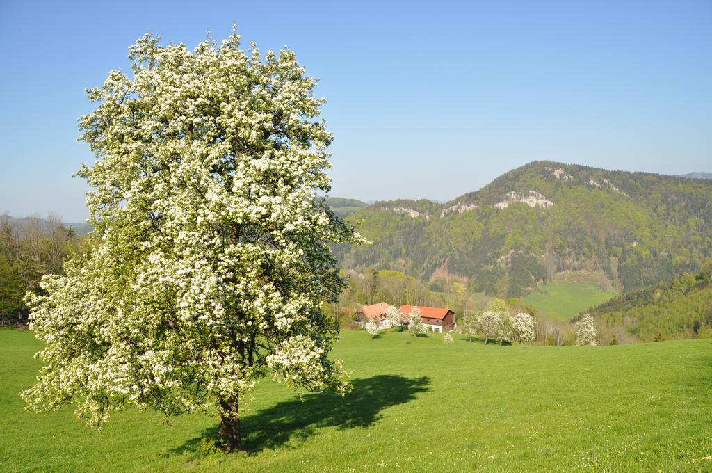 Apart Dirndltal Loich Exterior photo